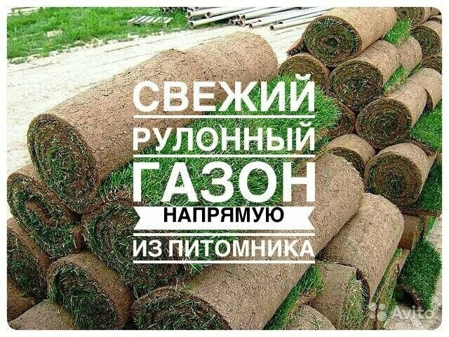 фото для авито